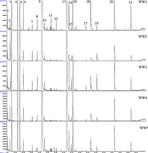 Total Ion Current Chromatograms Tic Of Wine Vocs And Svocs After