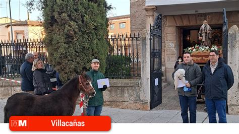 Comienzan las celebraciones en honor a San Antón Abad manchamedia