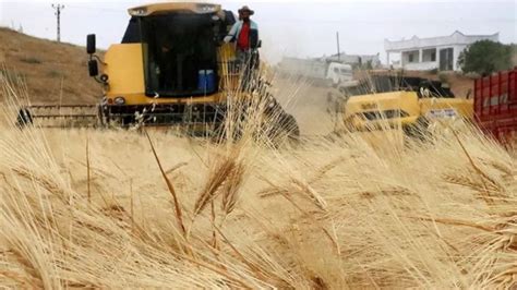 Turkey Un Ukraine Keep Grain Deal Despite Russian Pullout