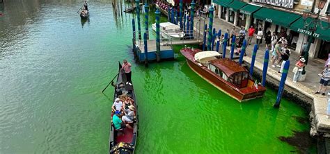 Acqua Verde A Venezia Meglio Se Rimane Un Mistero Ma C Un Rischio