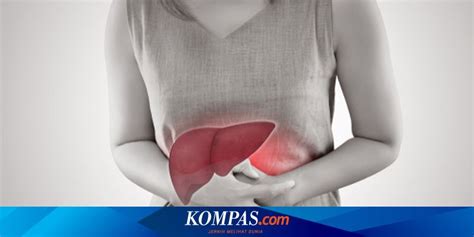 Perbedaan Hepatitis A B Dan C Yang Perlu Diketahui TrendRadars