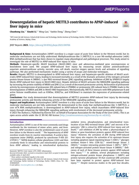 Pdf Downregulation Of Hepatic Mettl Contributes To Apap Induced