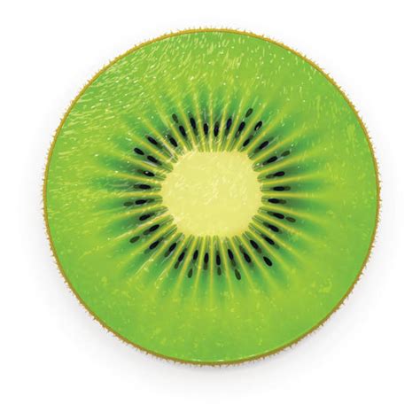 Kiwi Fruit Clip Art, Vector Images & Illustrations - iStock