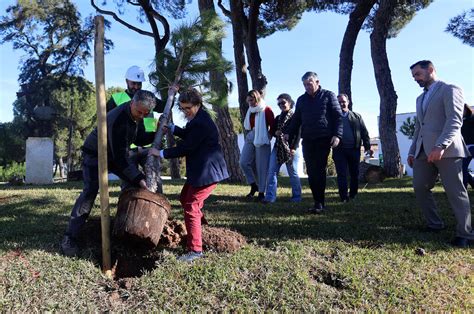 Imágenes de la reforestación del recinto universitario de la UNIA por