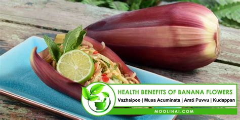 Banana Flower Nutrition Data Best Flower Site