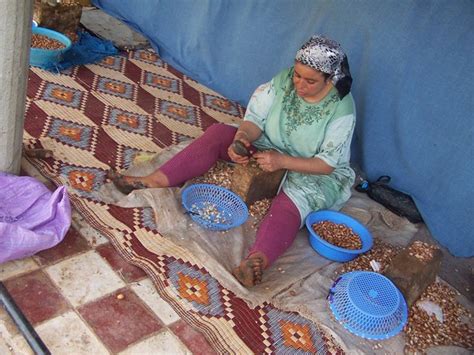 argana production Free Photo Download | FreeImages