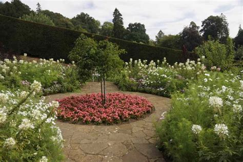 How to Blend Annual Bedding Plants into the Garden ⋆ Roots and Maps