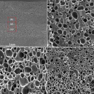 Typical Sem Micrographs Of Four Layer Epoxy Foams Ep Cfa A