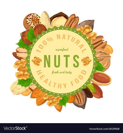 Poster Banner With Nuts And Seeds In Round Shape Vector Image