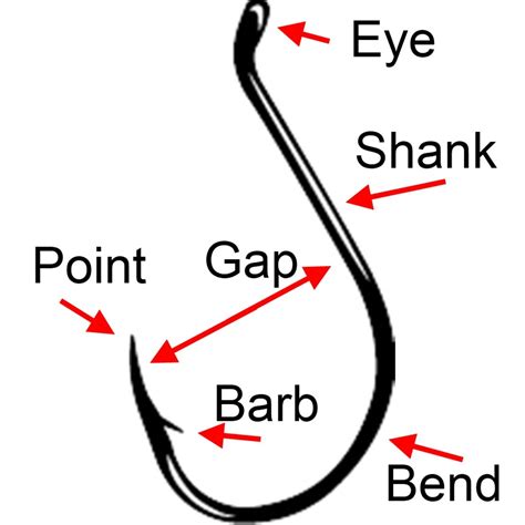 Complete Guide To Fishing Hook Types And Sizes Hubpages