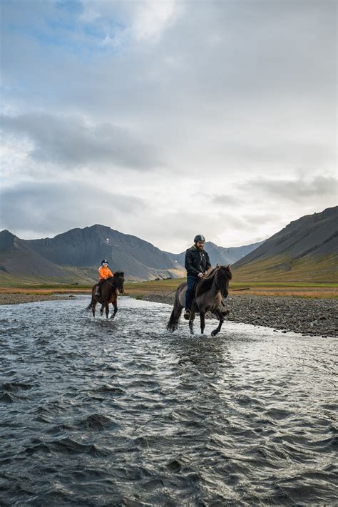 overview — horse riding in the Westfjords Alps