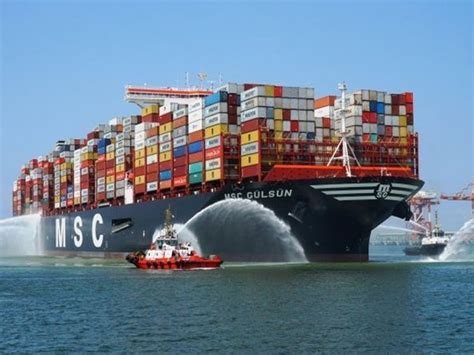 Logistica MSC Migliora I Servizi Santana E Carioca Corriere Nazionale