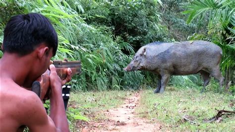 Wild Boar Hunting Part Poin Babi Hutan Putih Jumbo Youtube