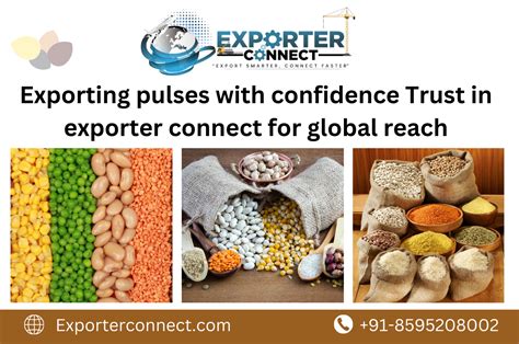 Grapes Supplier And Manufacturer Exporter Connect Serves As A Premier