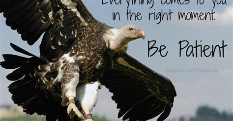 daveswordsofwisdomcom      moment