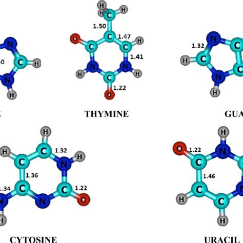 Optimized Geometry Of The Considered NA Bases At The B3LYP 6 31G D