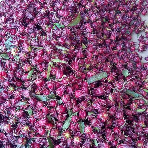 Top Quality Hibiscus Flower Dried Hibiscus Flower Bulk Wholesale