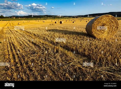 Stubble Field With Straw Bale After Harvest Stock Photo Alamy