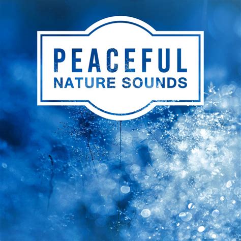 Peaceful Nature Sounds New Age Music For Relaxation Pure Waves