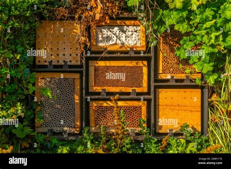 Innovative Green Facades Insect Hotel Nesting Box University