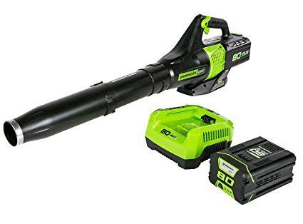 10 Best Battery Powered Leaf Blowers 2025: Cordless Simplicity