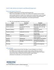 Unit 1 Lab Assignment Complete 1 Docx Unit 1 Lab Endocrine System