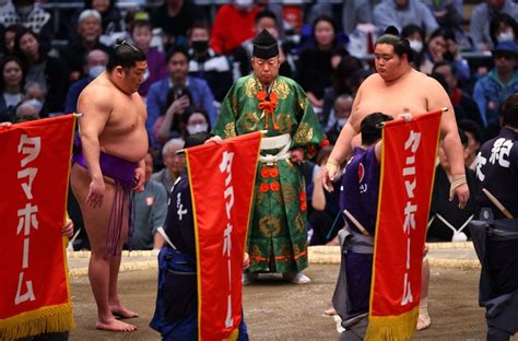 大相撲春場所11日目 新入幕の尊富士が11連勝 写真特集1517 毎日新聞