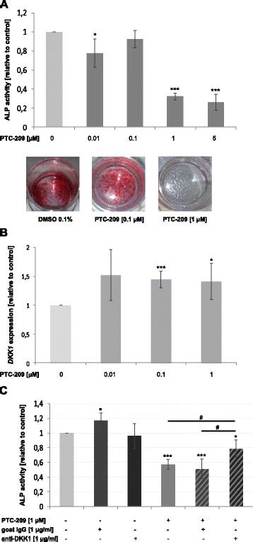 Ptc 209 Inhibits Osteogenesis Via Upregulation Of Dkk1 A Ptc 209