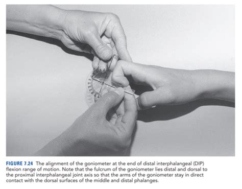 Procedures Ii Exam Ii Study Guide Goniometry Flashcards Quizlet