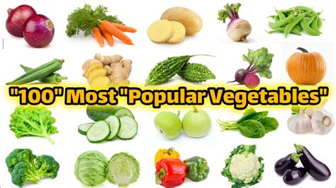 Most Popular Vegetables In The World Vegetables Name In English And