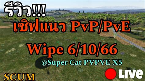 Live Scum Pvpve X Super Cat Pvpve X Scum