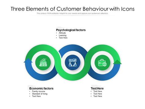 Three Elements Of Customer Behaviour With Icons Ppt Powerpoint