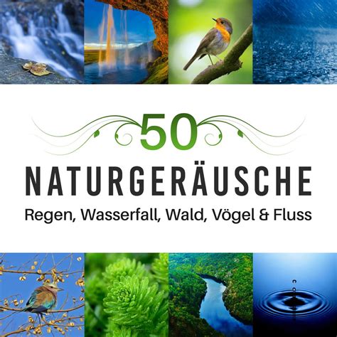 50 Naturgeräusche Regen Wasserfall Wald Vögel Fluss für Yoga