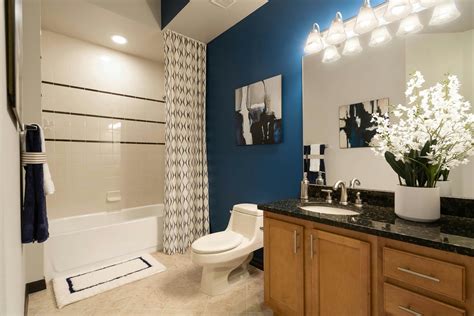 Apartment Bathroom Decorating Ideas On A Budget Shelly Lighting