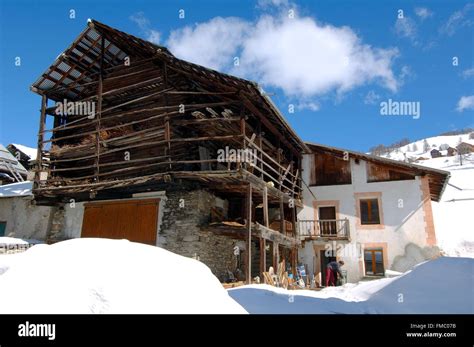 France Hautes Alpes Regional Natural Park Of Queyras Molines En