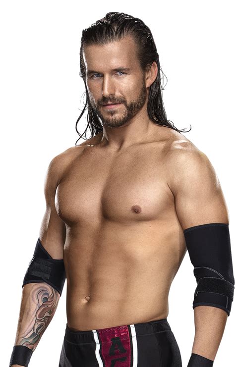 Adam Cole Network Profile Render By Berkaycan On Deviantart