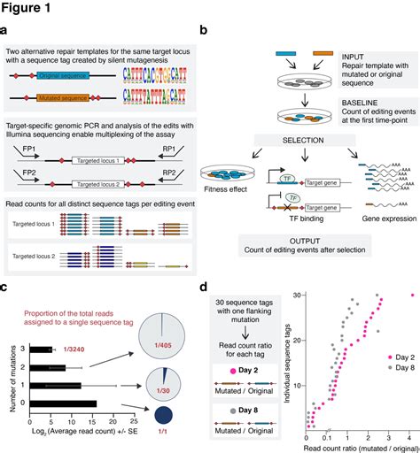 Figure From Identifying Critical Transcriptional Targets Of The Myc