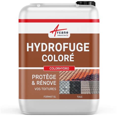 Hydrofuge coloré toiture et tuile COLORHYDRO Maison Etanche