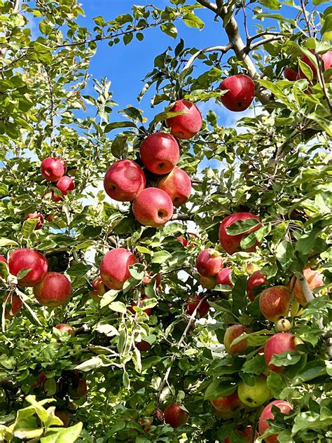 Turning Heads Hair Studio... - Turning Heads Hair Studio