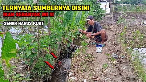 Rezeki Dapat Kejutan Saat Saya Mancing Di Selokan Kecil Ini Youtube