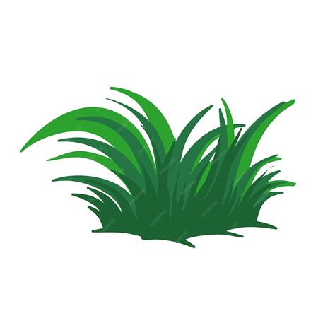 Premium Vector | Vector green grass on a white background