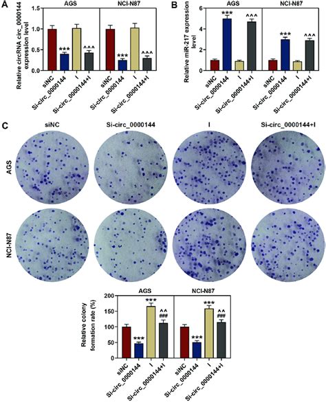 Inhibited MiR 217 Expression Reversed The Inhibitory Effect Of