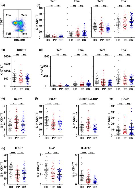 Differentiation, proliferation, activation and function of CD4⁺ T cells... | Download Scientific ...