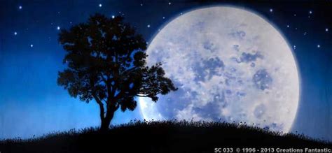Backdrop SC 033 Full Moon | Backdrops, Full moon, Moon