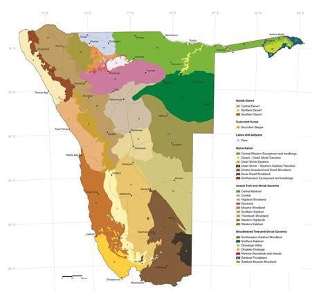 Types of vegetation | Atlas of Namibia