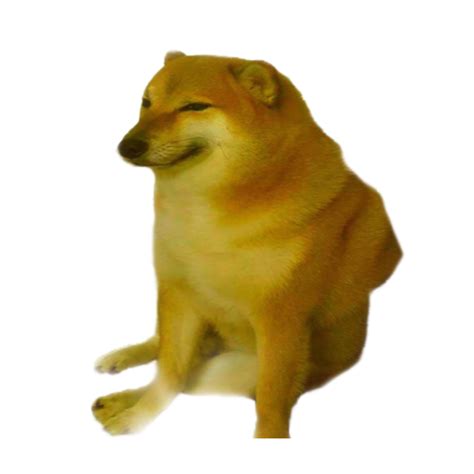 Happy cheems png : r/dogelore