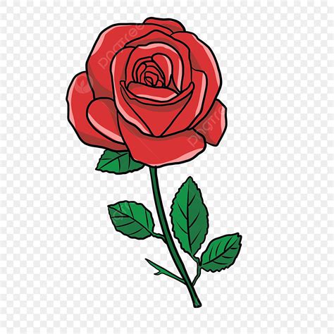 Desenho De Plantas De Rosas Vermelhas Png Clipart De Rosa Vermelha