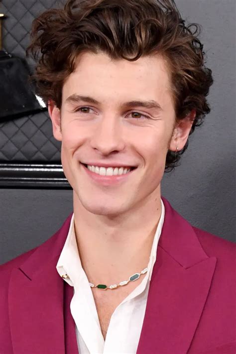 Shawn Mendes Hair Detailed Look Heartafact