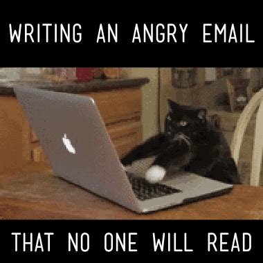 Angry Typing Cat Meme