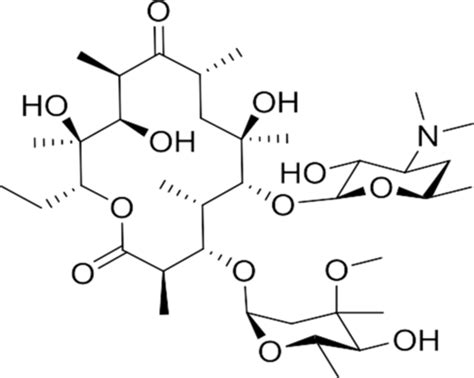 Antibiotics (Macrolides Molecules) Flashcards | Quizlet